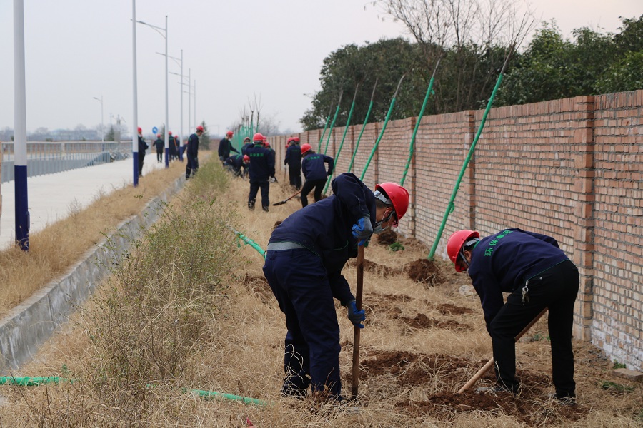 三秦公司下屬陜西省危廢處置中心組織開展“美化環(huán)境 綠色同行”植樹活動_2658.JPG