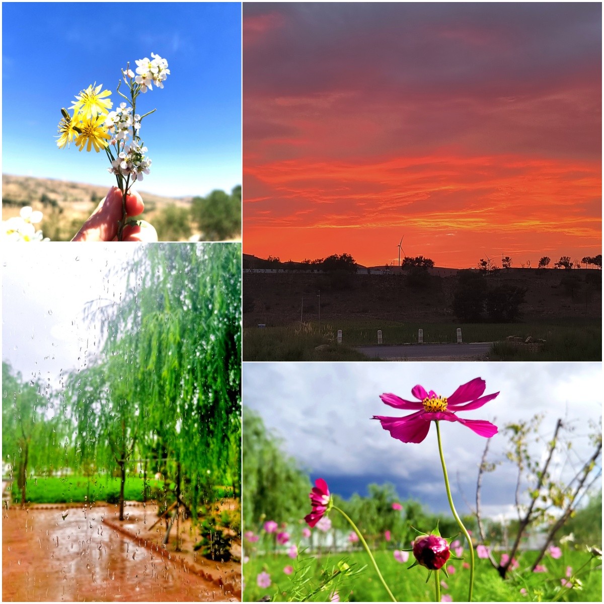 1723426342939378eqyM.jpg 我與這座山的故事.jpg